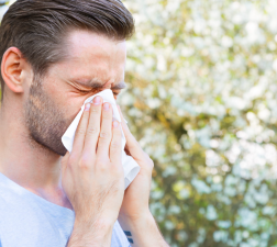 Climate Change Is Causing Seasonal Allergy Surges